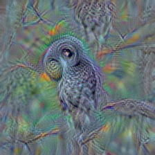 n01622779 great grey owl, great gray owl, Strix nebulosa
